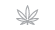 medical-marijuana-seeds-genotype