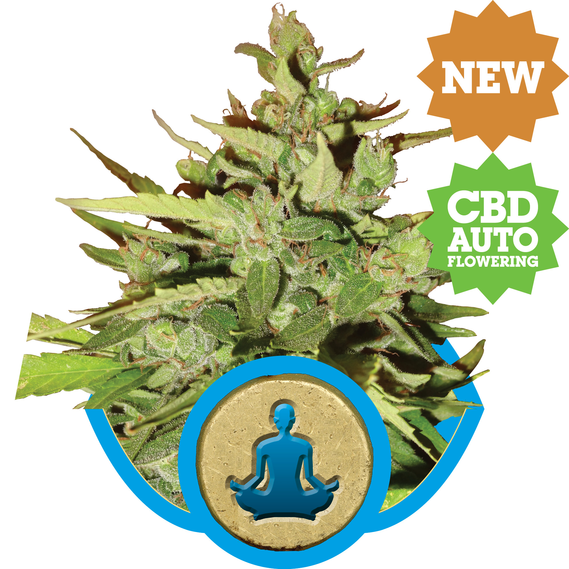 cbd-stresskiller-new2016.jpg