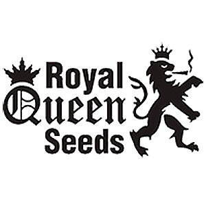 Royal Queen Seeds