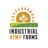 Industrial Hemp Seeds